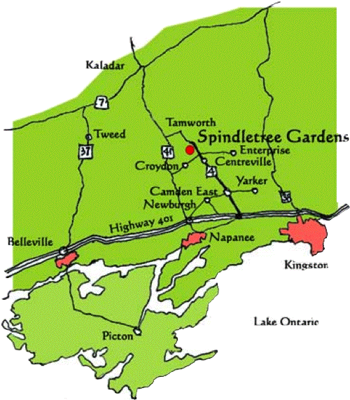 Map to SpindleTree Gardens
