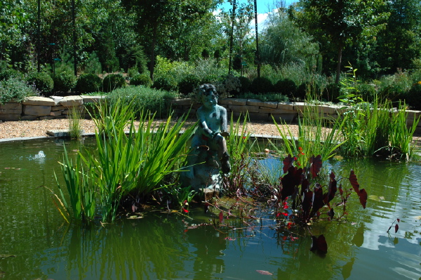 Rondel lily pond