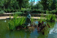 Image of SpindleTree Gardens