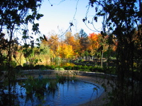 Image of SpindleTree Gardens