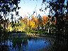 The Rondel in autumn