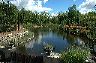 Long Pond in July seen from the Bridge